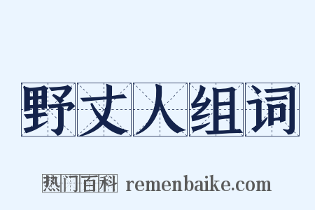 野丈人组词是什么意思的图片